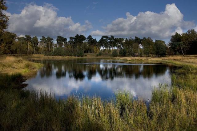 Beegderheide