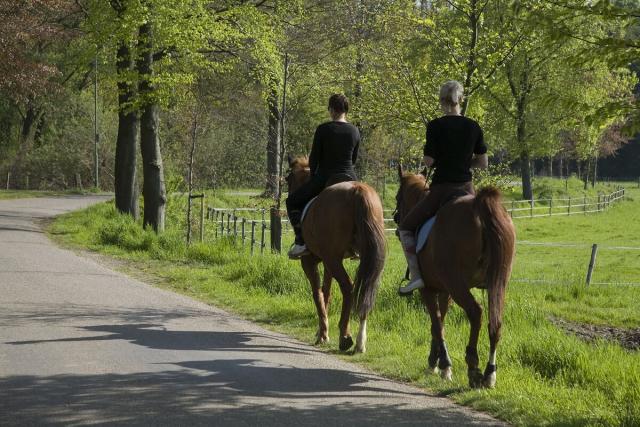 paardrijden