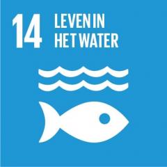 Global Goal 14: leven in het water